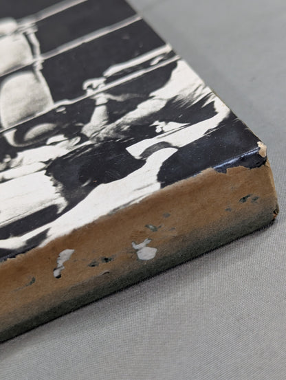 Mil Mascaras  1973 US Heavyweight Fighters Black and White  Photo Panel