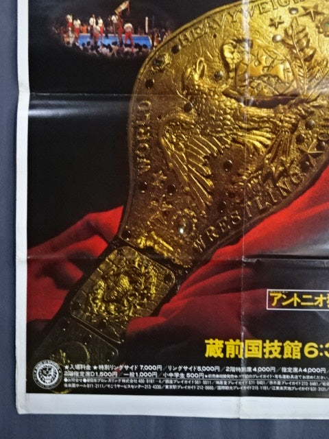 ★NWF World Heavyweight Fighters Rights Match ★ Antonio Inoki  vs Lou Thesz