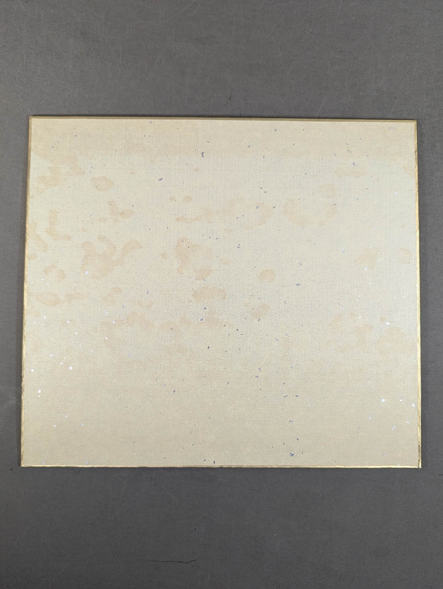 Tenryu Genichiro  (vap Shikishi ( Autograph board ) )