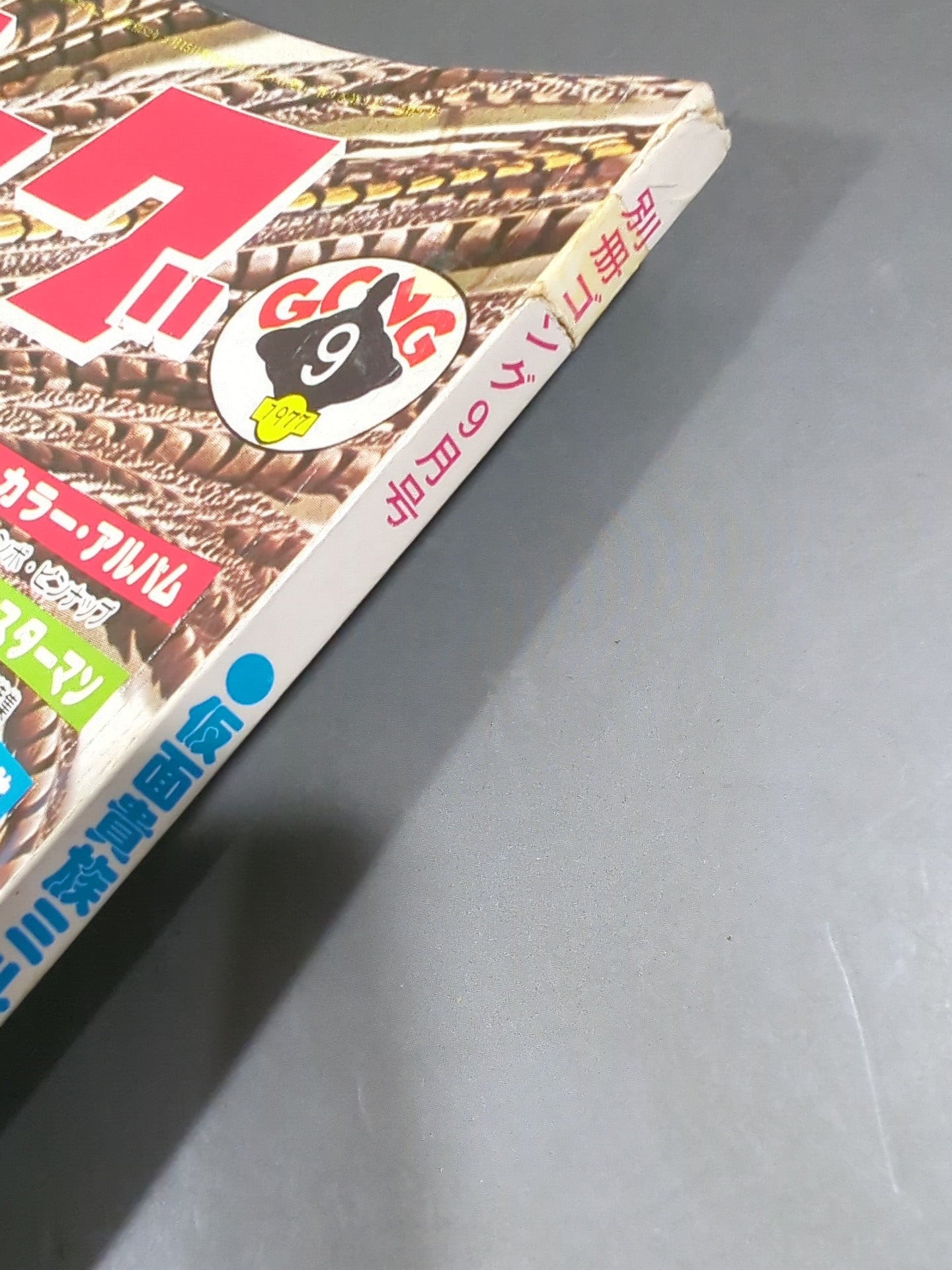 別冊ゴングVol.9 No.9 – 闘道館