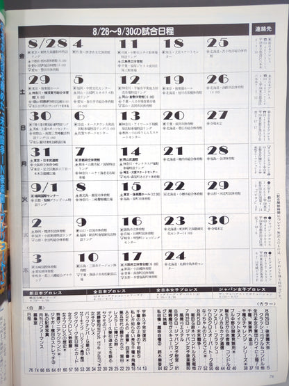 Deluxe Pro Wrestling October 1987 issue