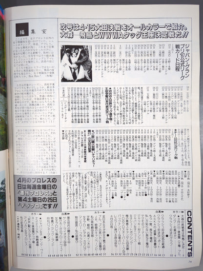 Deluxe Pro Wrestling May 1987 issue