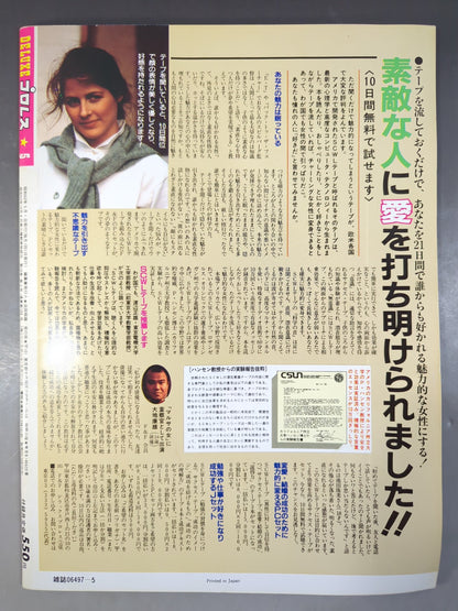 Deluxe Pro Wrestling May 1987 issue