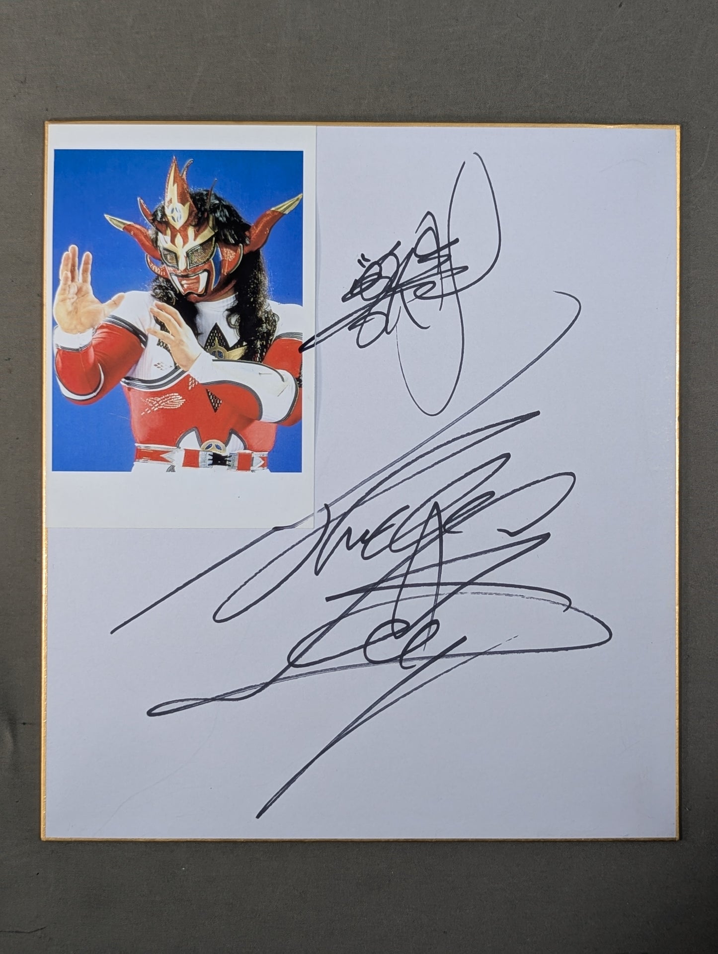 Jushin Thunder Liger  (photo paste) )