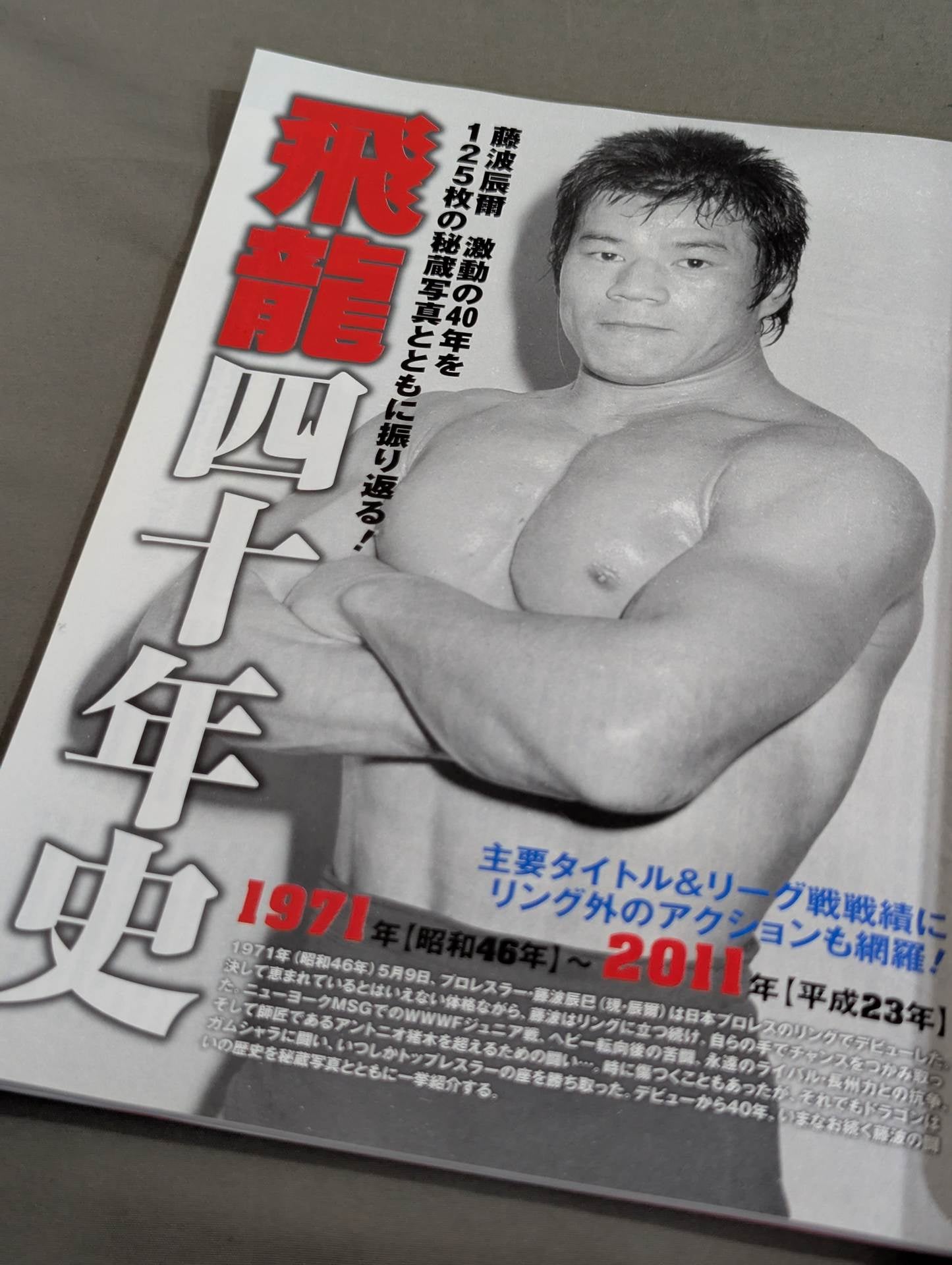 藤波辰爾 炎の飛龍40年 永久保存版 デビュー40周年記念 – 闘道館