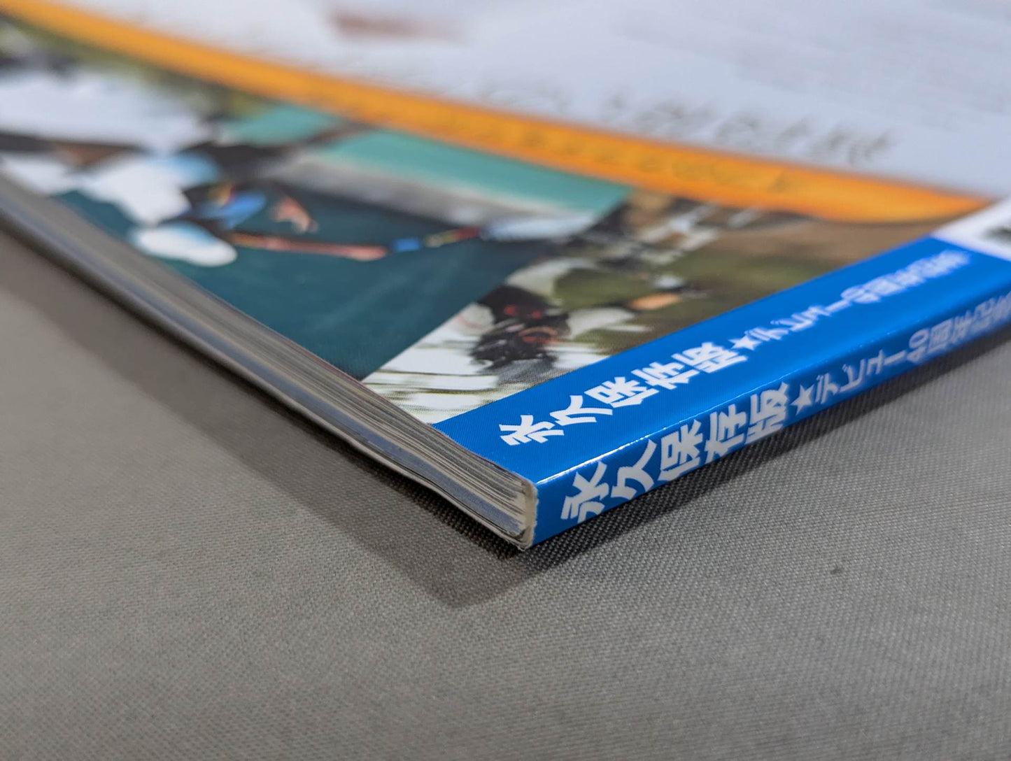 Tatsumi Fujinami  Flame Flying Dragon 40 Years Permanent Preservation Edition Debut 40th Anniversary