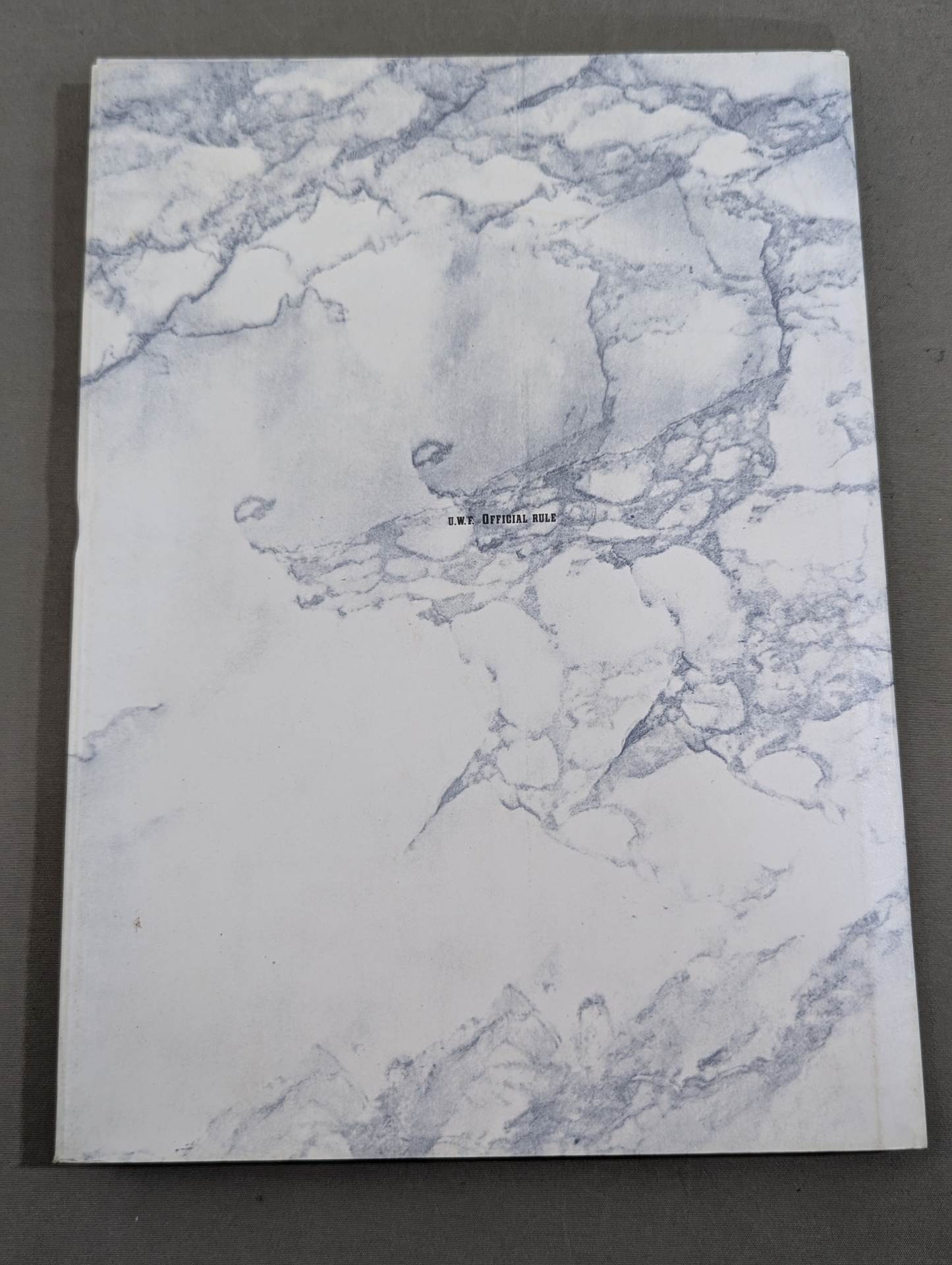 U.W.F. OFFICIAL RULE 1989.5.4~