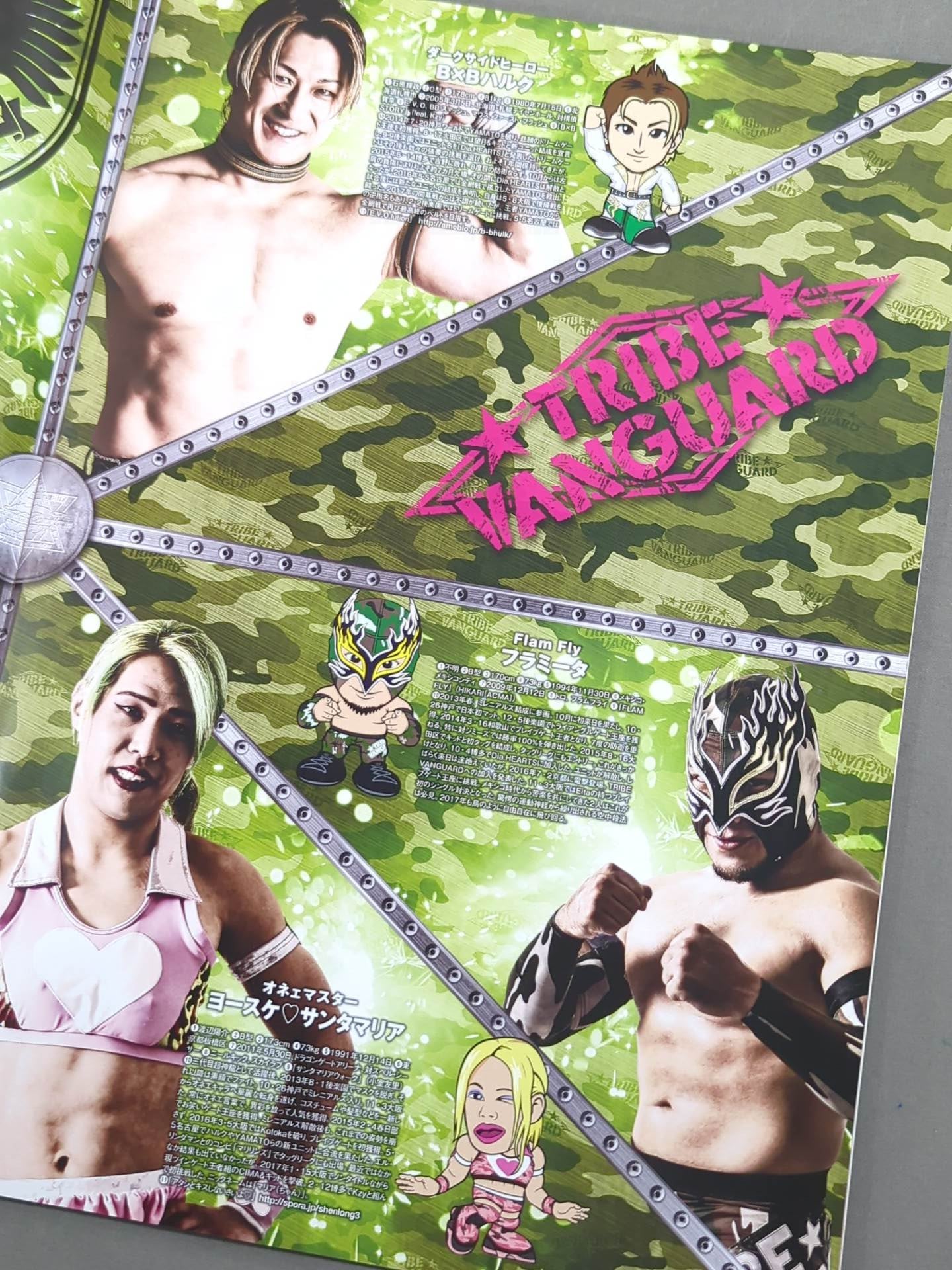 2017 DRAGON GATE OFFICIAL PAMPHLET Vol.57