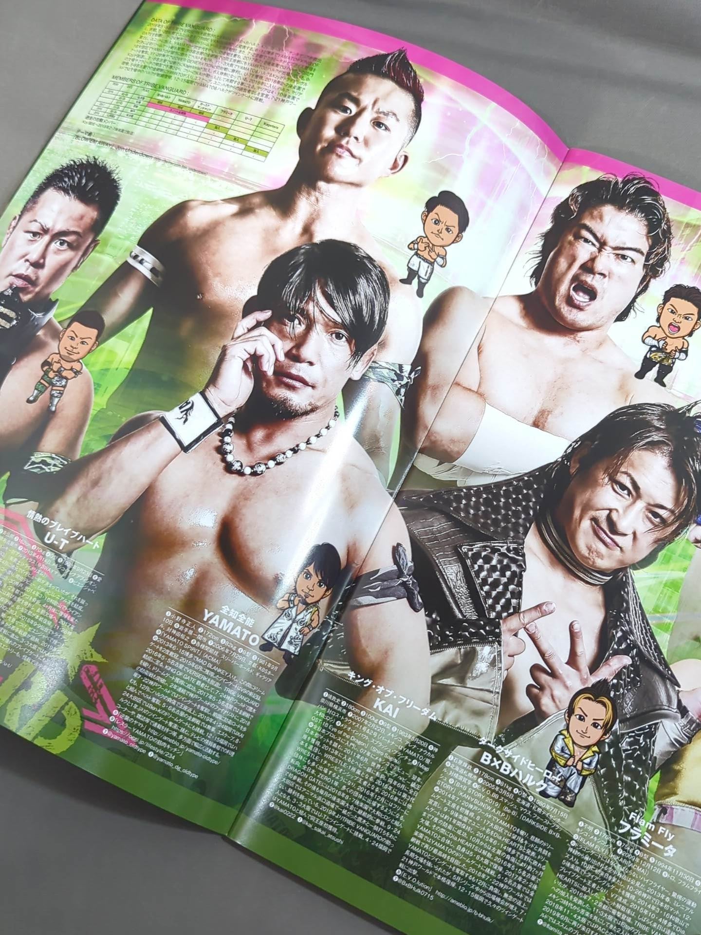 2019 DRAGON GATE OFFICIAL PROGRAM Vol.14