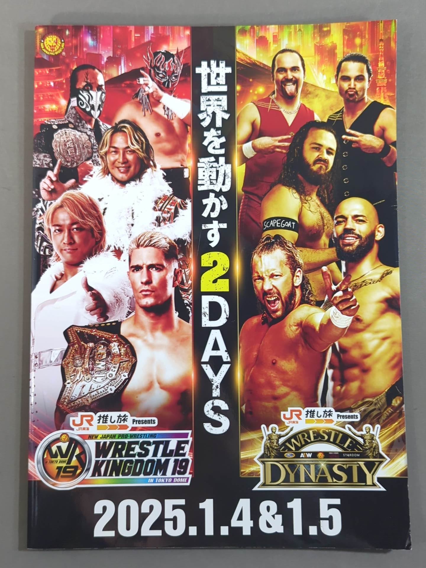 WRESTLE KINGDOM 19 & DYNASTY