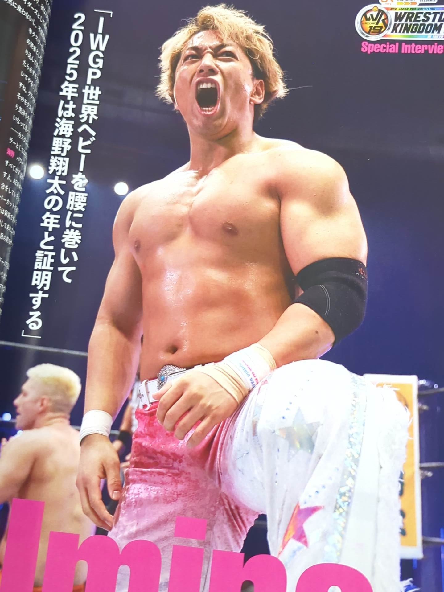 WRESTLE KINGDOM 19 & DYNASTY