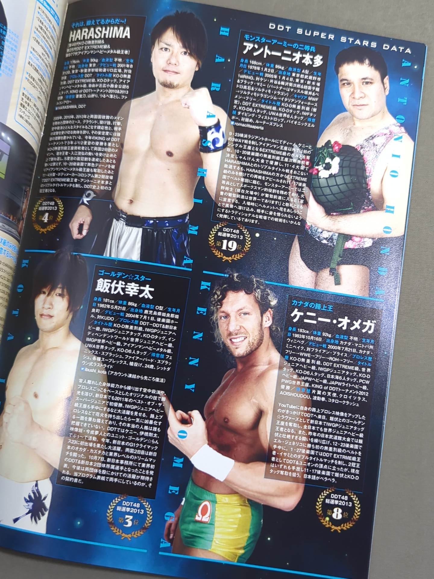 DDT Official Program 2013-2014 WINTER Vol.31