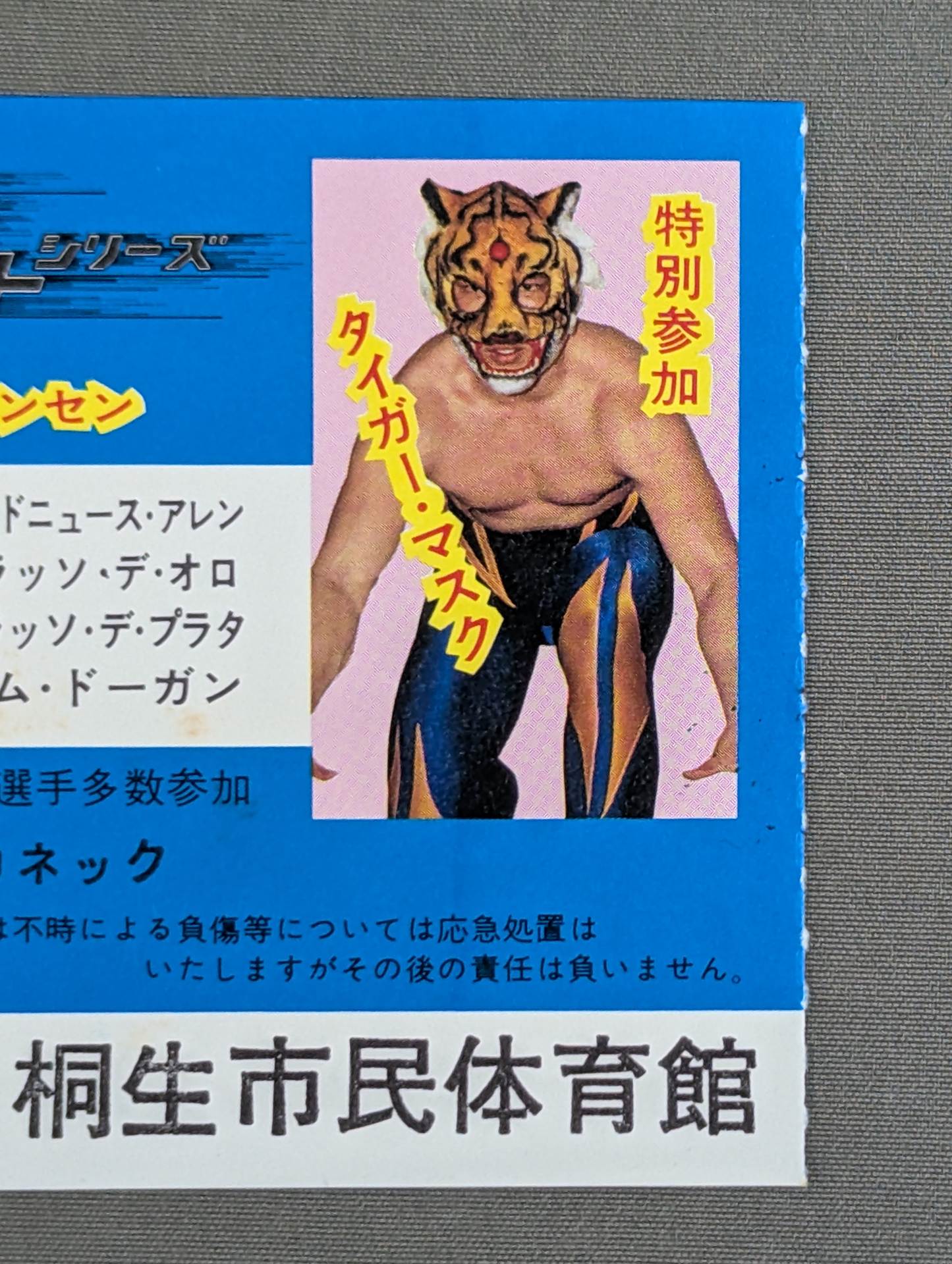 81 Brady Fight Series