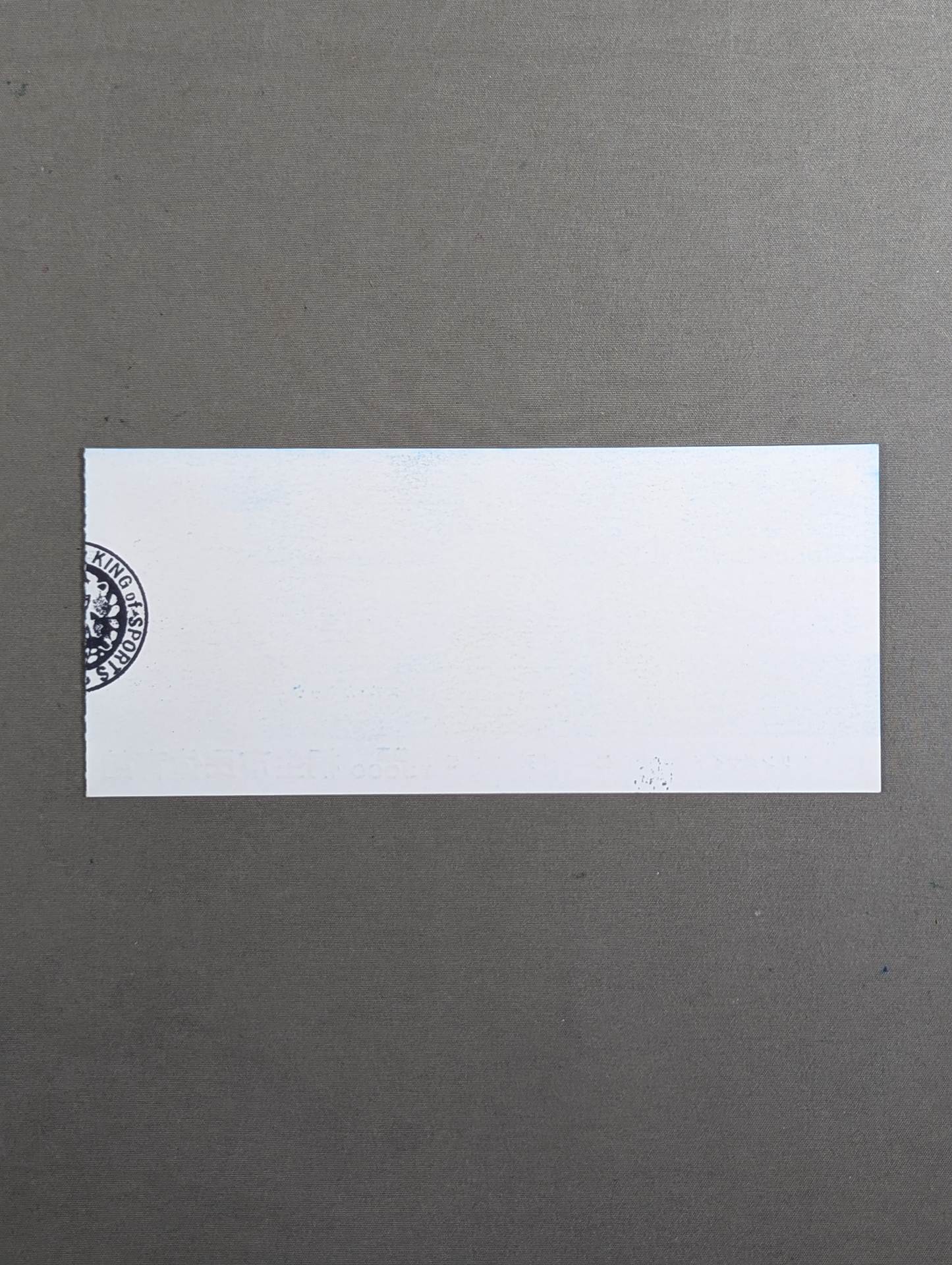 81 Brady Fight Series