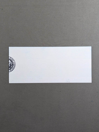 81 Brady Fight Series