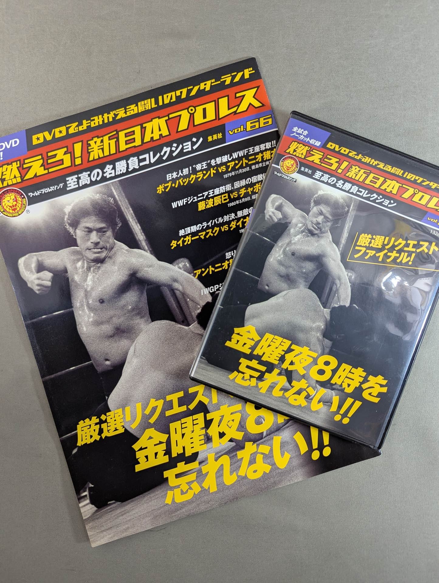 燃えろ!新日本プロレス vol.66 – 闘道館