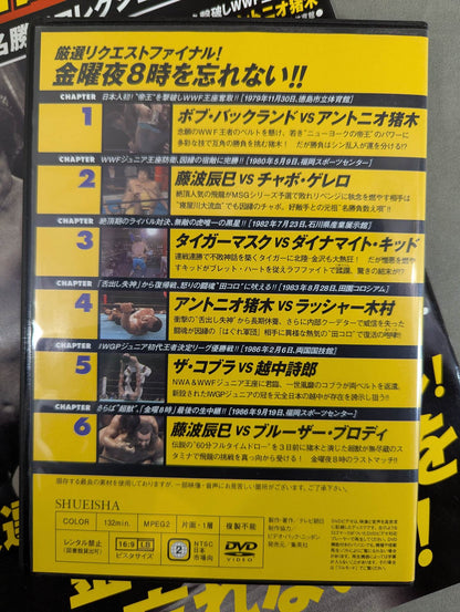 Burn! New Japan Pro Wrestling  vol.66