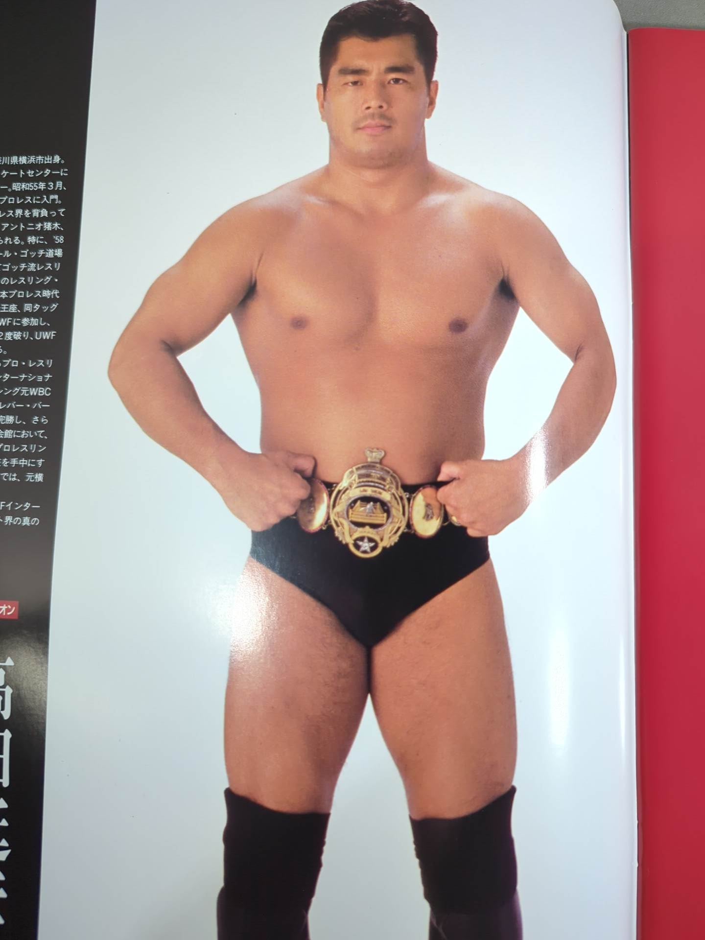 ☆高田延彦vsハシミコフ☆ PRO-WRESTLING WORLD HEAVY WEIGHT