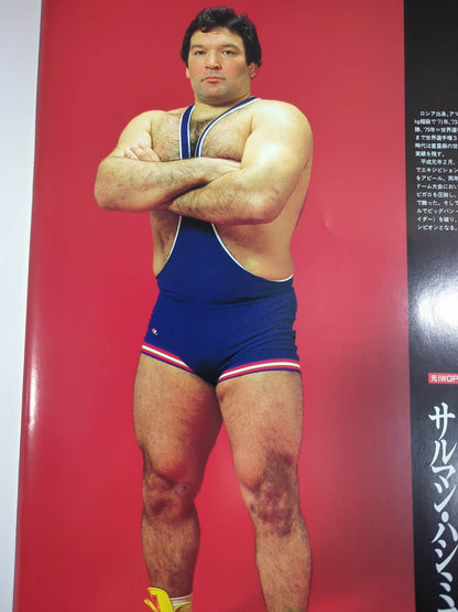 ★高田延彦vsハシミコフ★ PRO-WRESTLING WORLD HEAVY WEIGHT CHAMPIONSHIP
