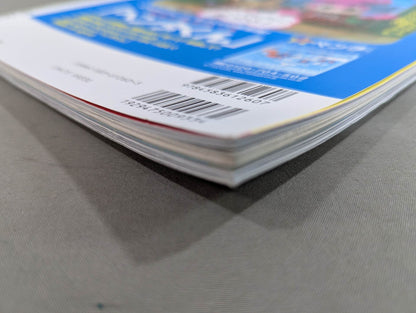 The Mystery and Truth of The Masked Man World "Masked Wrestler"