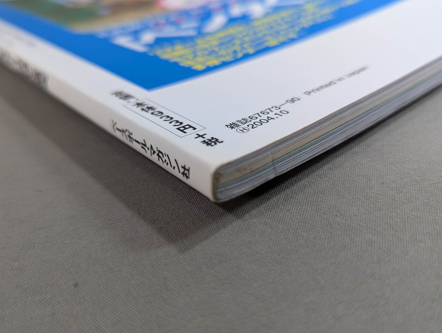 The Mystery and Truth of The Masked Man World "Masked Wrestler"