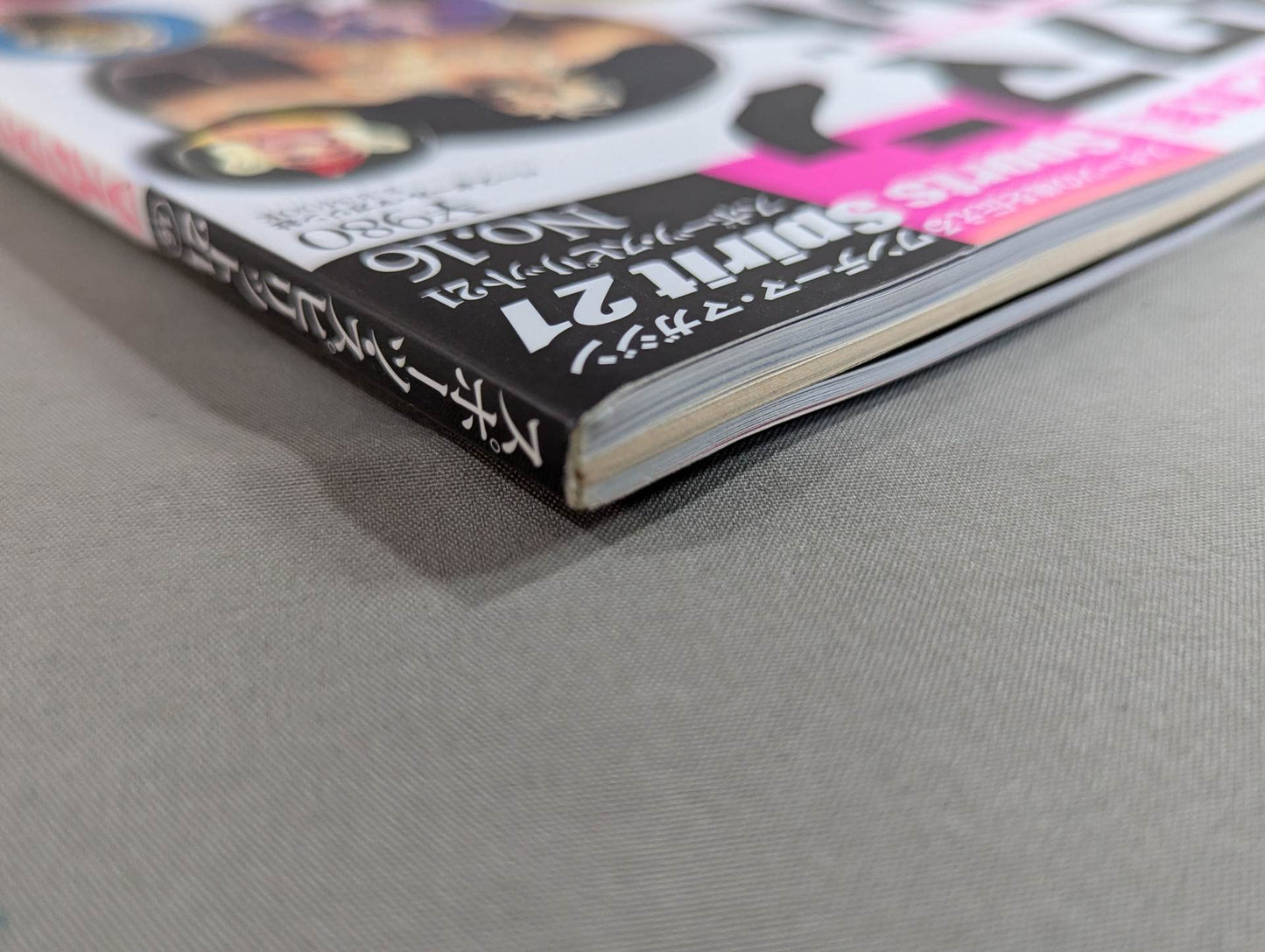 The Mystery and Truth of The Masked Man World "Masked Wrestler"