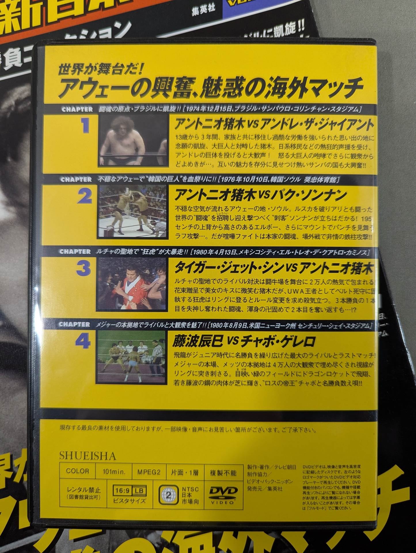 末裔の道 日本語版 foil AVN Foil】《末裔の道/Descendants' Path》[AVR] 緑R | 日本最大級 MTG通販