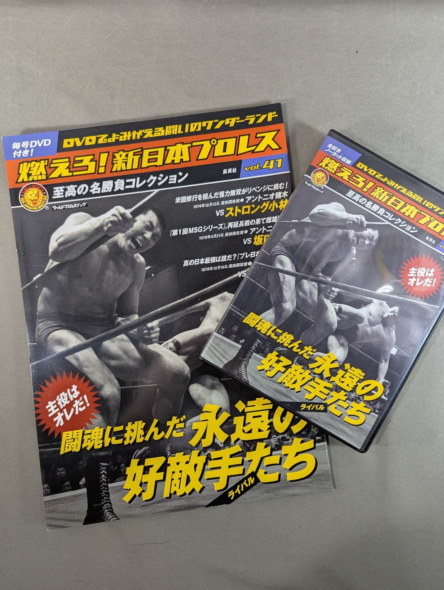 Burn! New Japan Pro Wrestling  vol.41