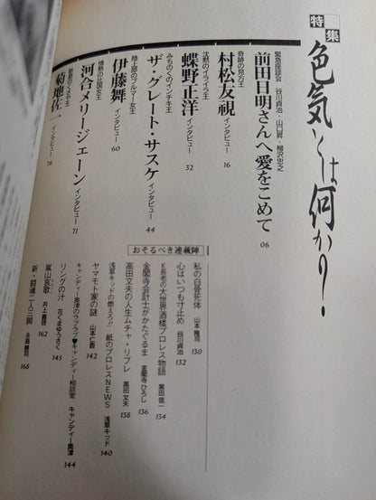 Pro Wrestling  12 on paper