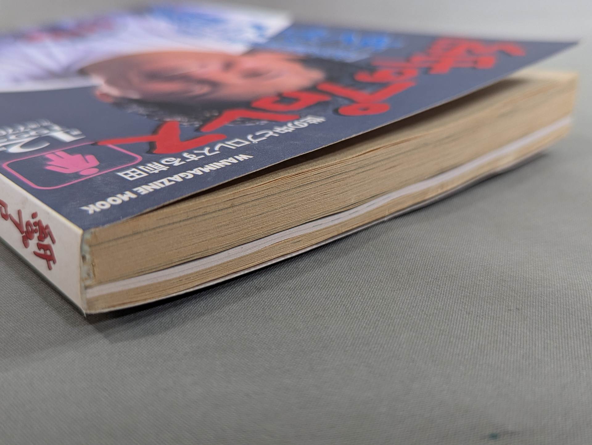 紙のプロレス12 – 闘道館