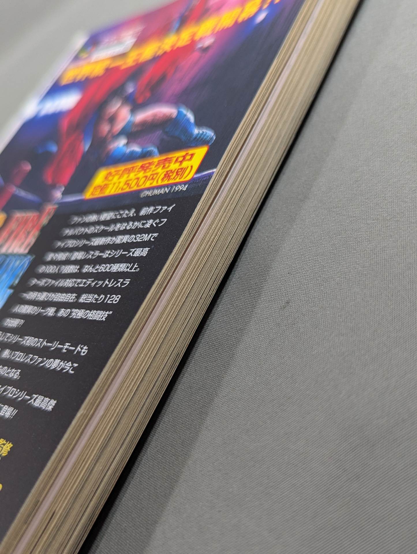 紙のプロレス12 – 闘道館