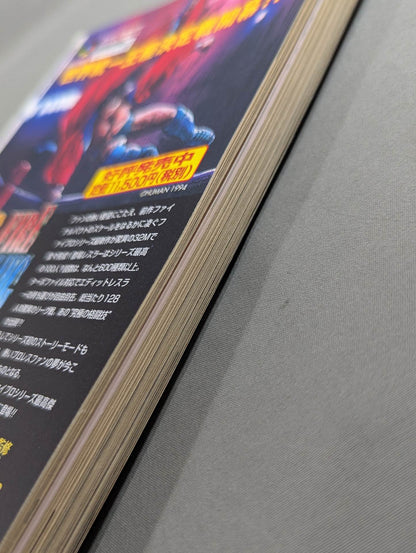 Pro Wrestling  12 on paper