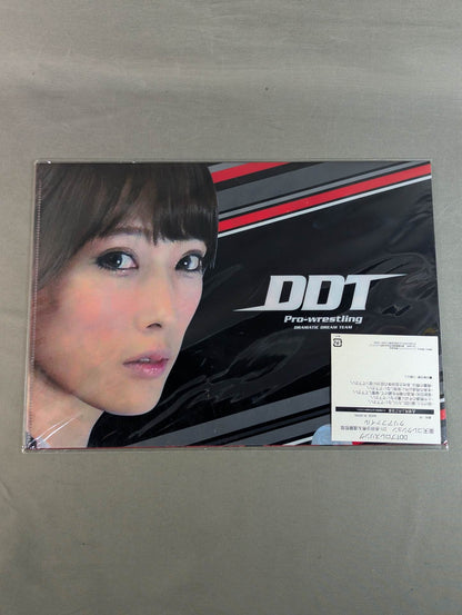 Saki Akai & Tetsuya Endo plastic file folder Set