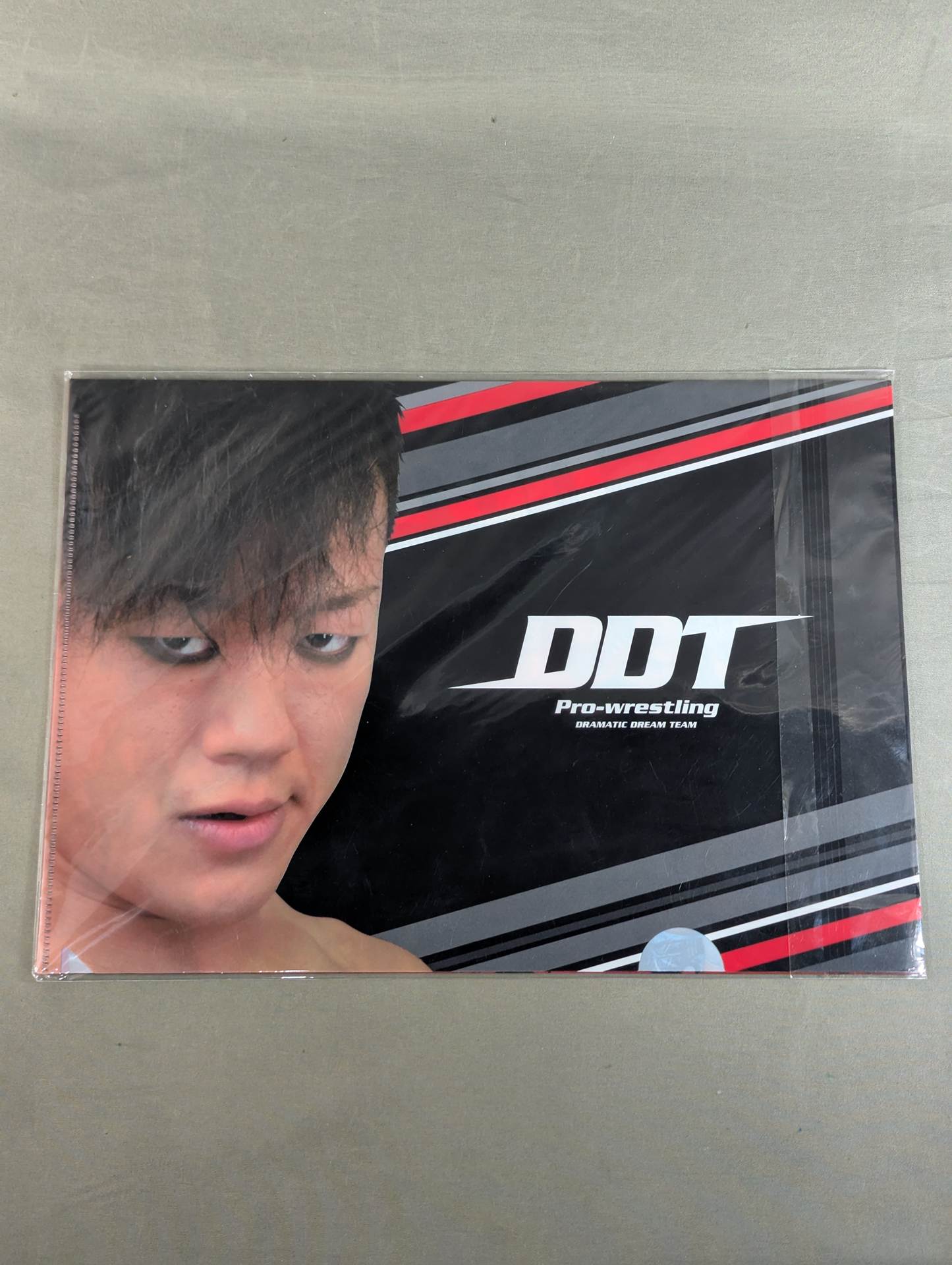Saki Akai & Tetsuya Endo plastic file folder Set