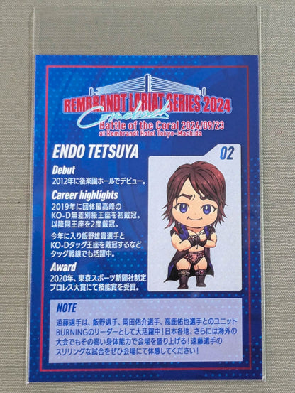 Tetsuya Endo Illustration Hologram Card