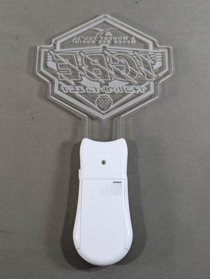 DDT "IchiGo Bout in EBINA" Penlight