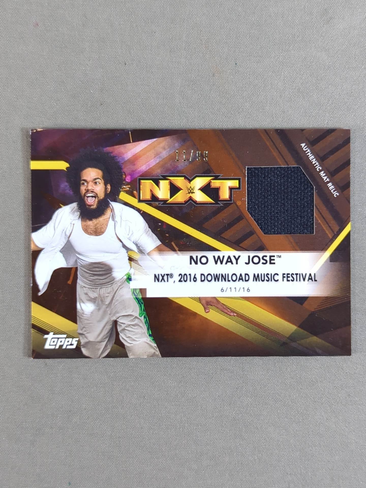 2017 TOPPS NXT ノー・ウェイ・ホセ 公式リングマットカード