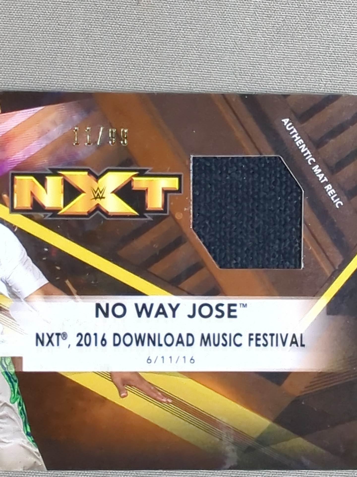 2017 TOPPS NXT ノー・ウェイ・ホセ 公式リングマットカード
