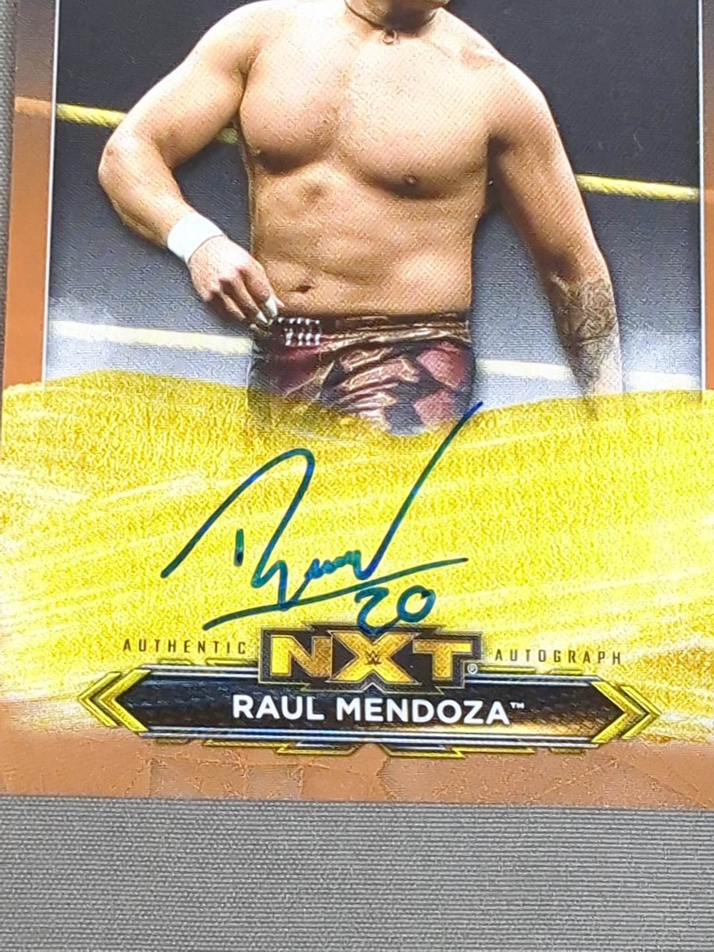 2020 TOPPS NXT ラウル・メンドーサ 公式サインカード