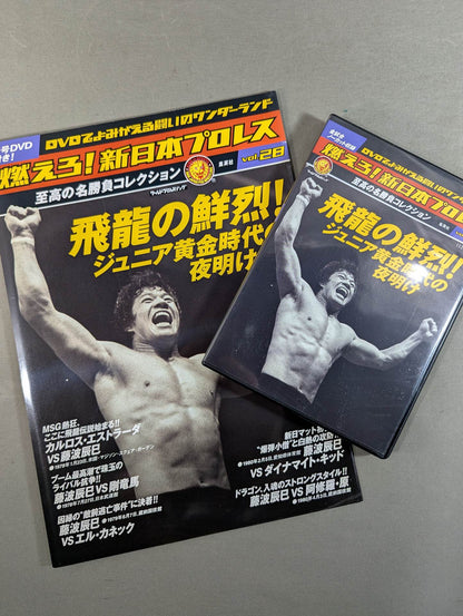 燃えろ!新日本プロレス vol.28