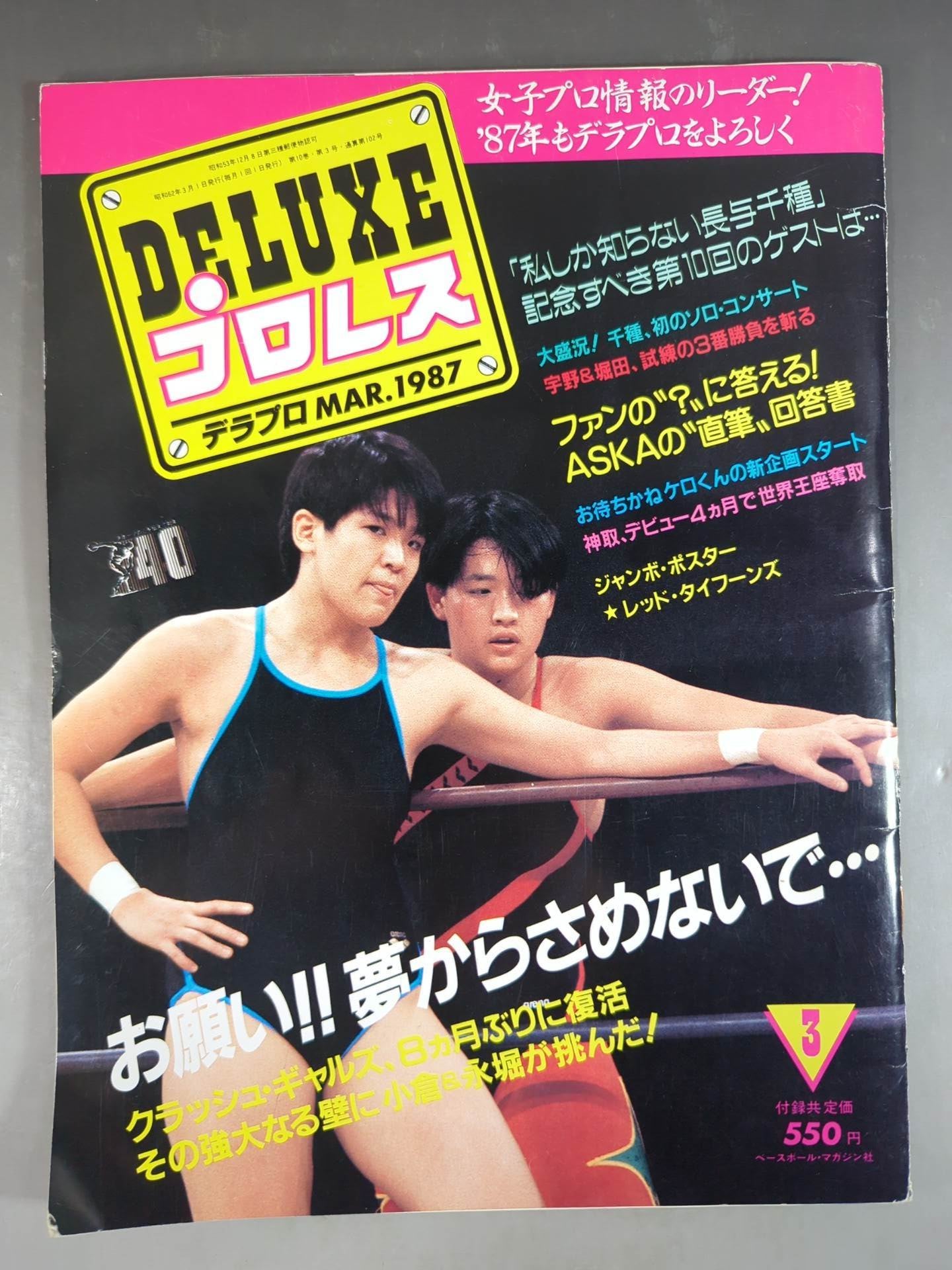 Deluxe Pro Wrestling March 1987 issue