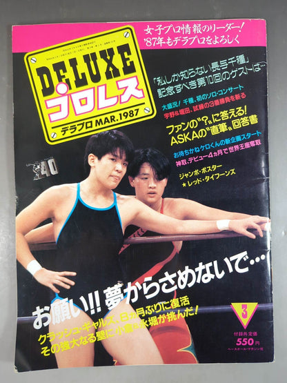 Deluxe Pro Wrestling March 1987 issue