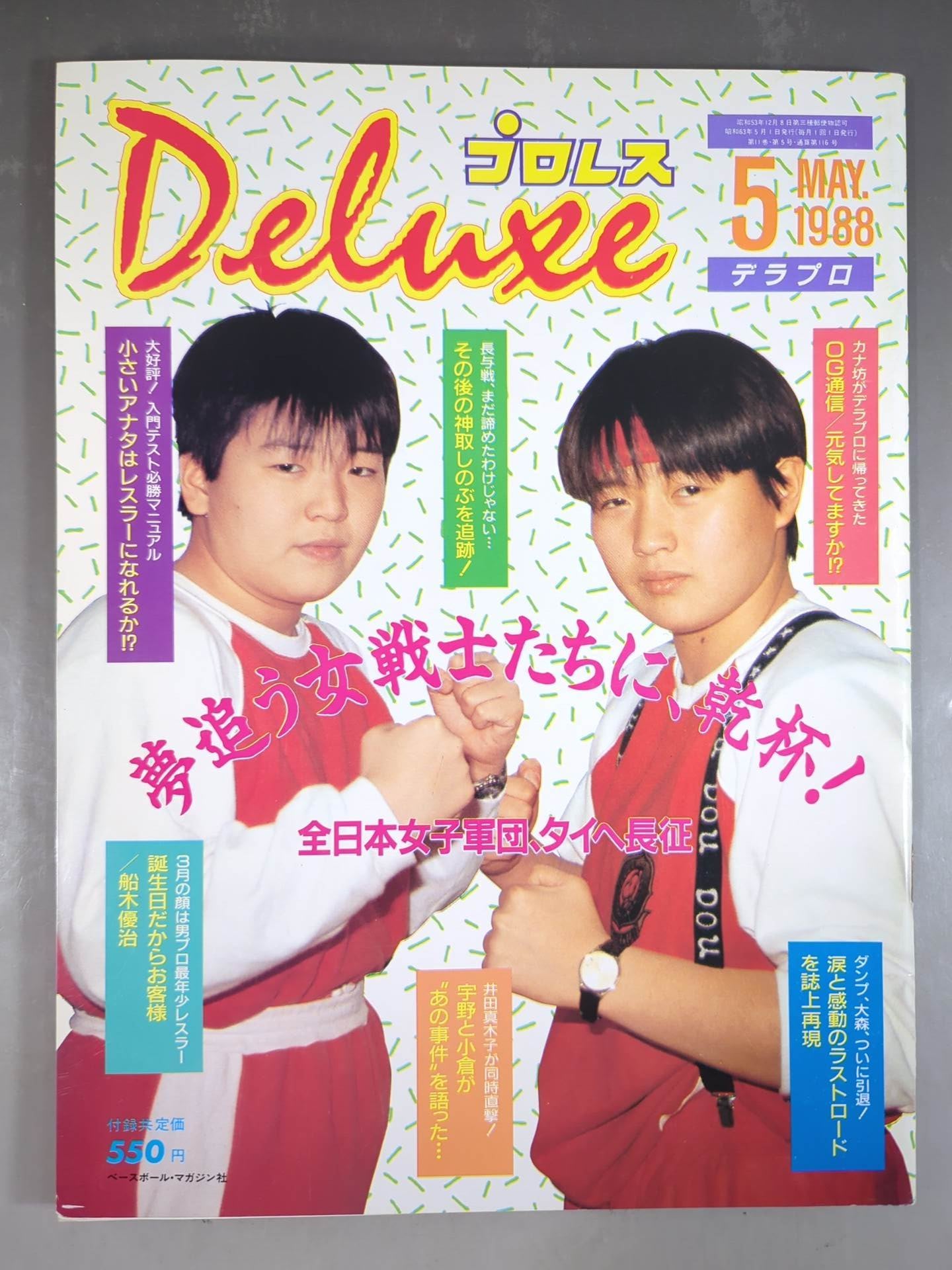 Deluxe Pro Wrestling May 1988