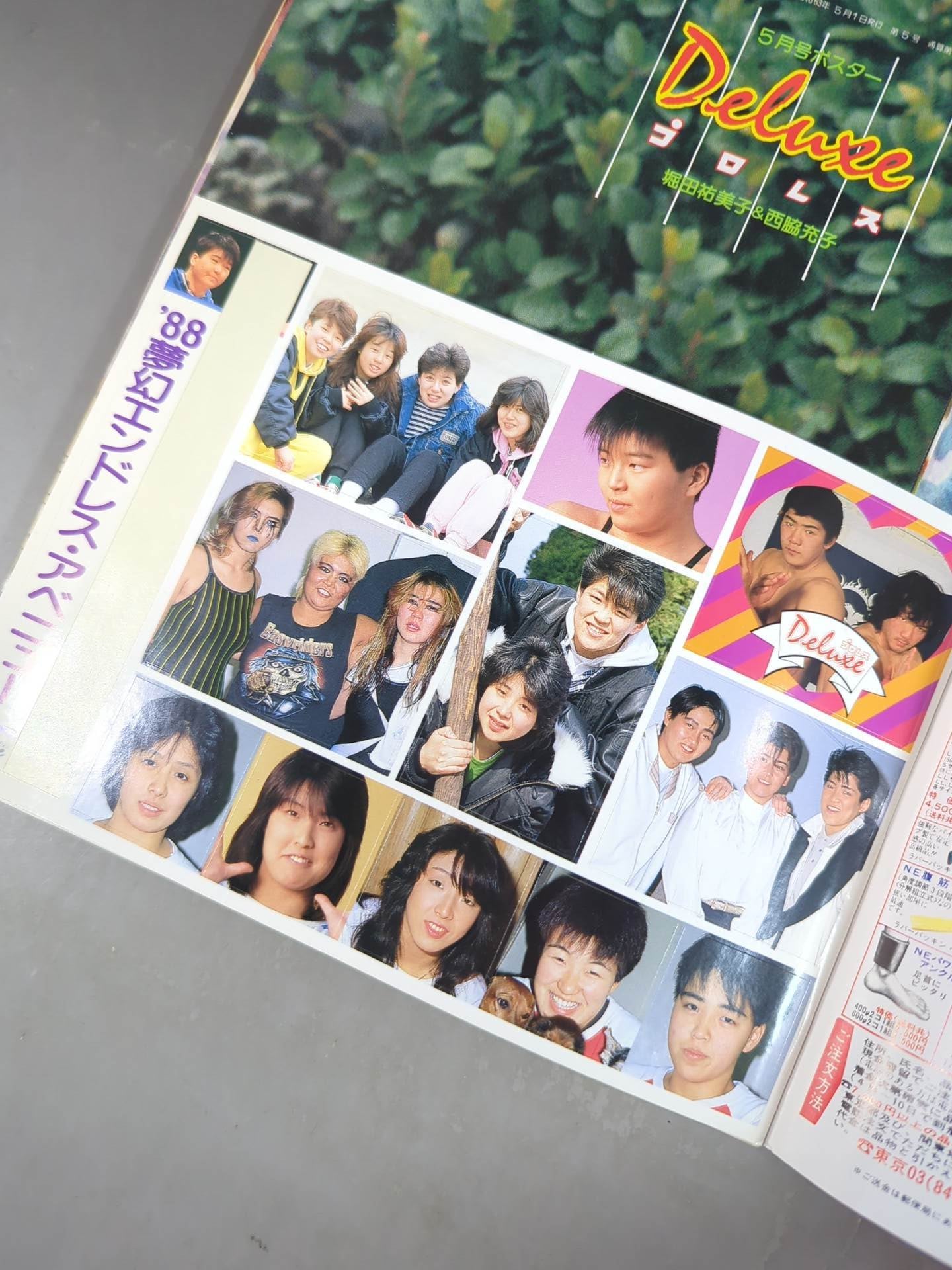 デラックスプロレス 1988年5月号 – 闘道館