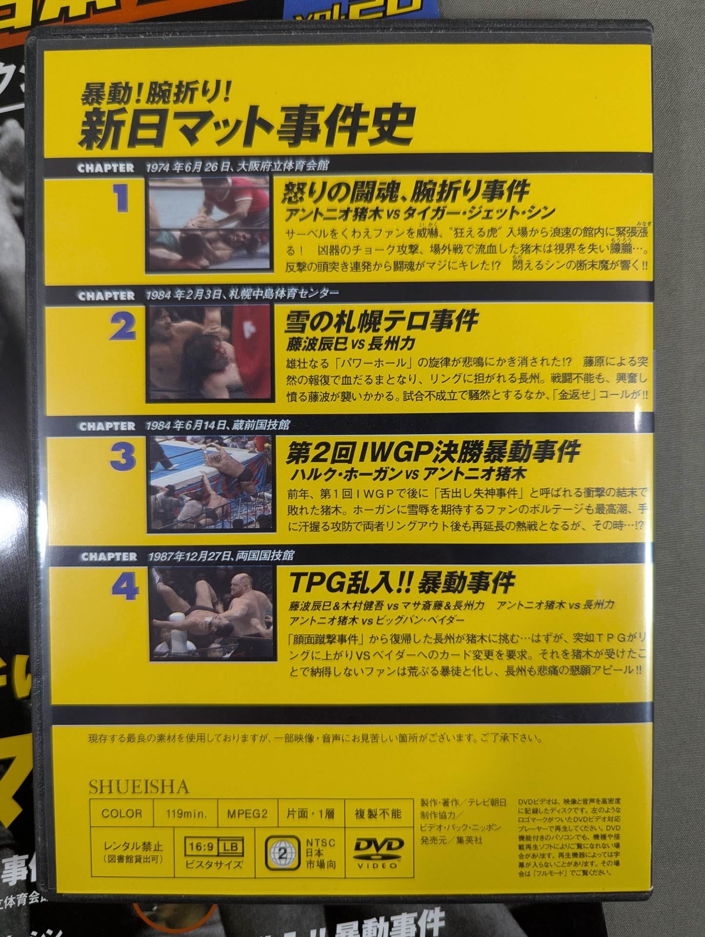 Burn! New Japan Pro Wrestling  vol.20