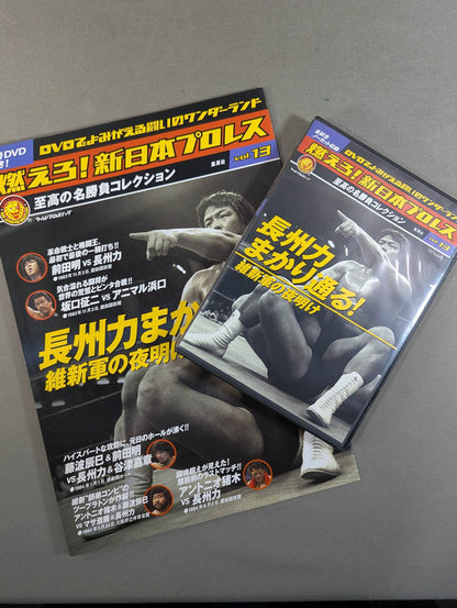 燃えろ!新日本プロレス vol.13