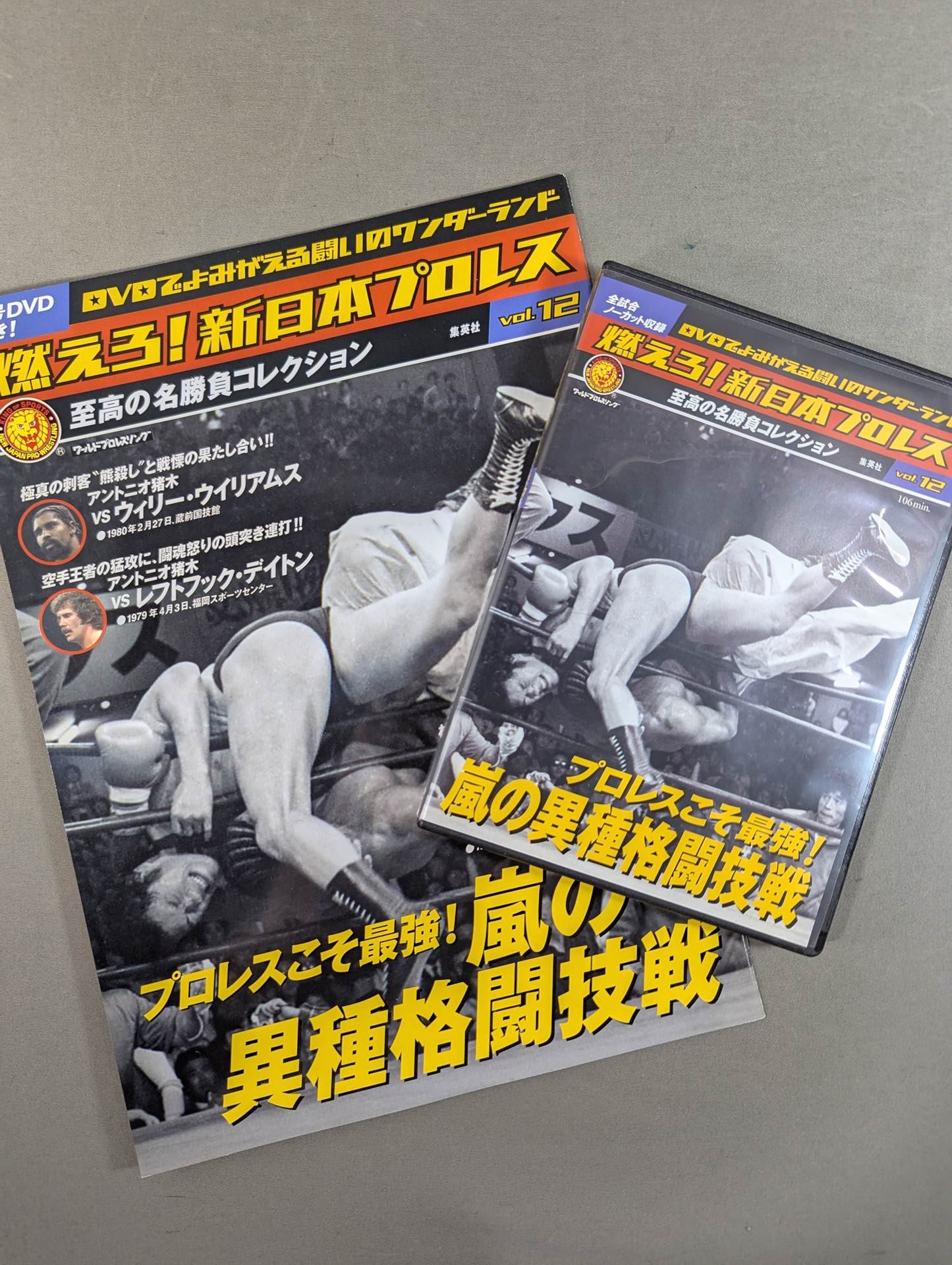 Burn! New Japan Pro Wrestling  vol.12