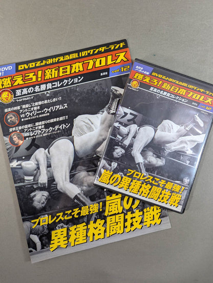 Burn! New Japan Pro Wrestling  vol.12