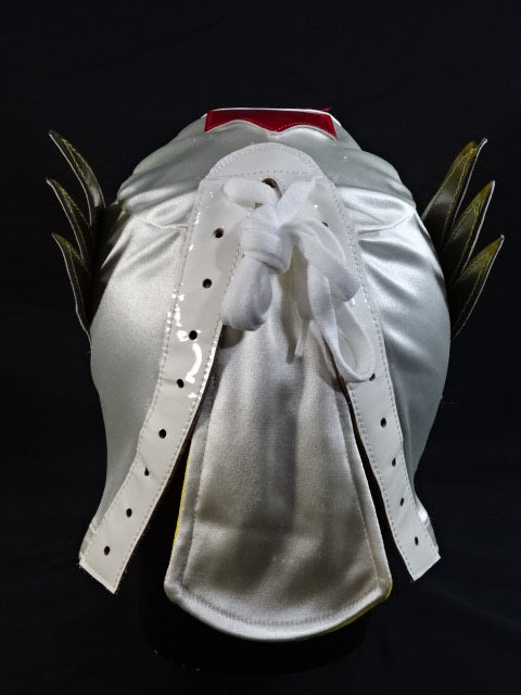 棚橋弘至 ★実使用入場用マスク!!★