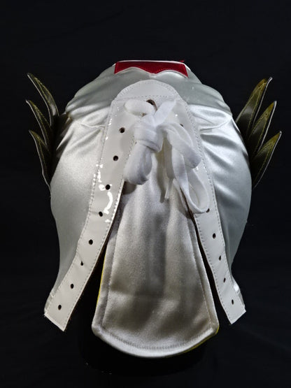 棚橋弘至 ★実使用入場用マスク!!★